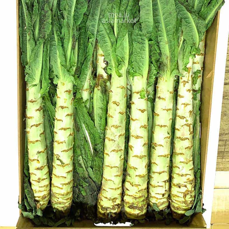 莴笋Chinese Asperge